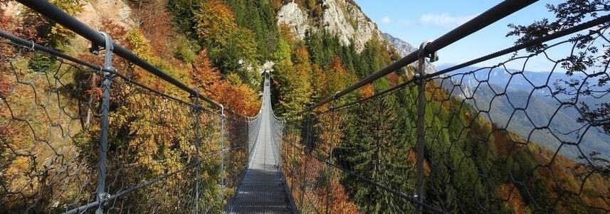 Ponte Avis durante l'autunno